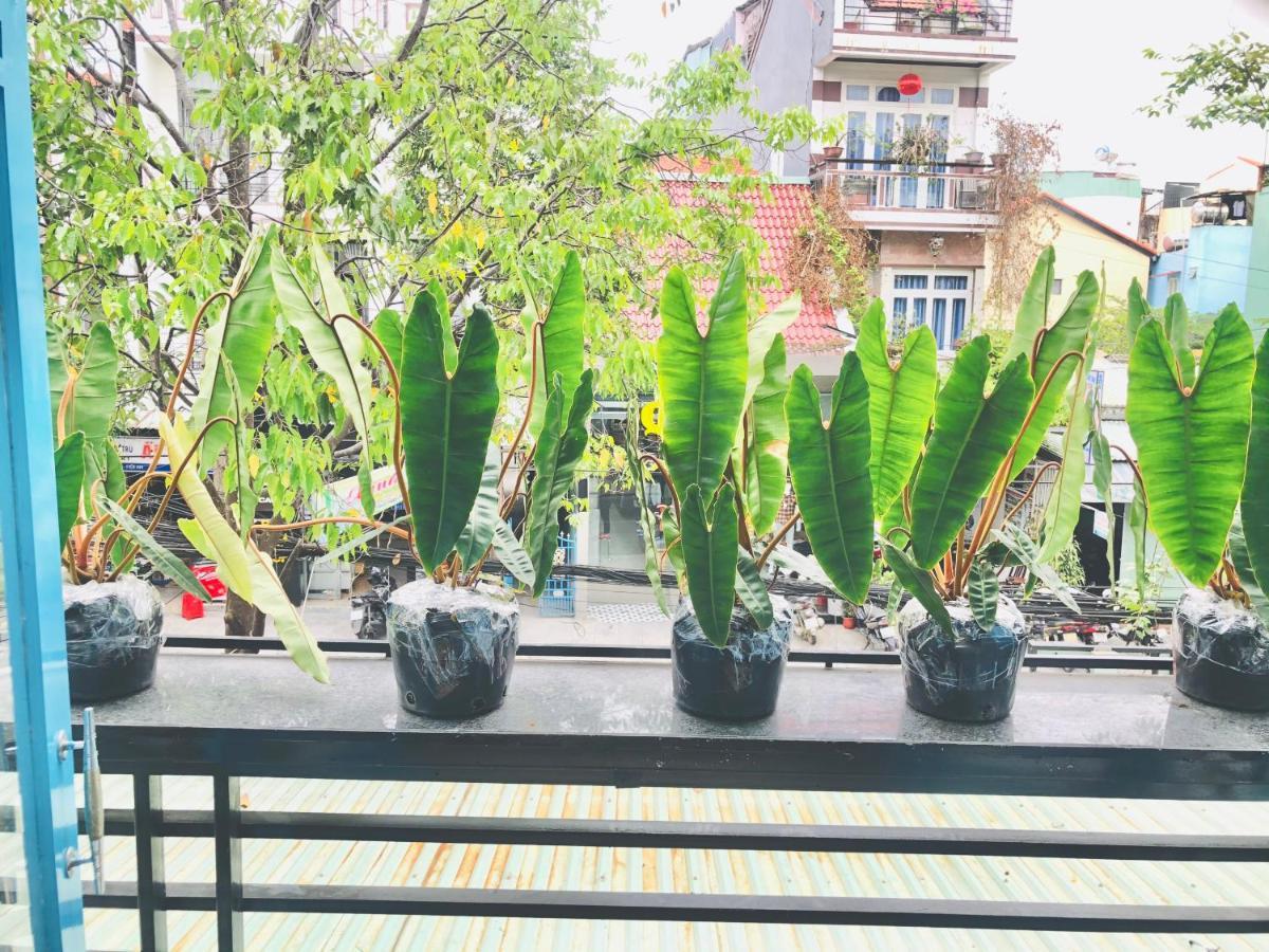 An'S Family Homestay Hoi An - 5Mins Walk To Hoi An Ancient Town ภายนอก รูปภาพ